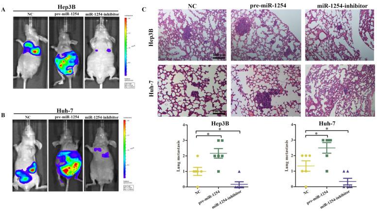 https://cdn.ncbi.nlm.nih.gov/pmc/blobs/b7b7/7778534/64de82e682d6/jcav12p0771g016.jpg