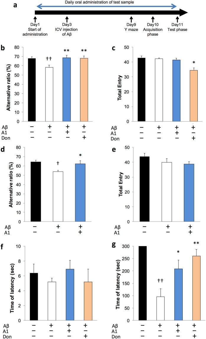 https://cdn.ncbi.nlm.nih.gov/pmc/blobs/b7b8/5647431/97c7a5966125/41598_2017_13368_Fig1_HTML.jpg