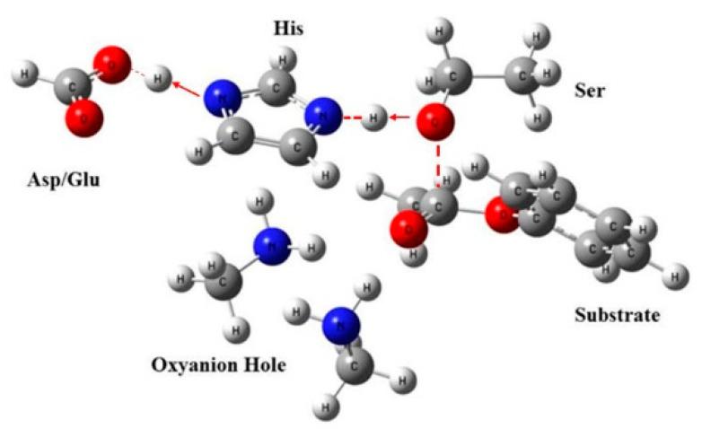 https://cdn.ncbi.nlm.nih.gov/pmc/blobs/b7ba/7587395/a23bb1080811/molecules-25-04658-g002.jpg