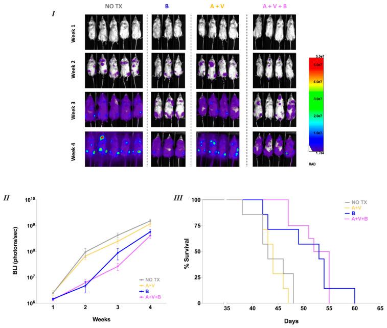https://cdn.ncbi.nlm.nih.gov/pmc/blobs/b7bc/12153862/a55752f32e8d/cancers-17-01889-g004.jpg