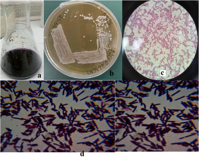 https://cdn.ncbi.nlm.nih.gov/pmc/blobs/b7bd/10311403/16a1ee94f9c5/d2ra07338b-f1.jpg