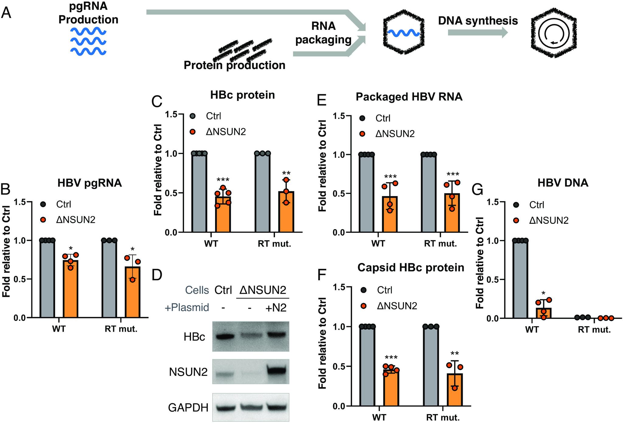 https://cdn.ncbi.nlm.nih.gov/pmc/blobs/b7be/11181118/1664ad9db100/pnas.2400378121fig04.jpg