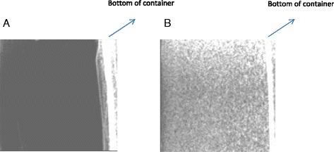 https://cdn.ncbi.nlm.nih.gov/pmc/blobs/b7be/5452295/fadfffd0eadf/40349_2017_93_Fig3_HTML.jpg