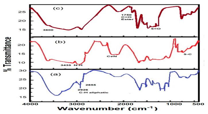https://cdn.ncbi.nlm.nih.gov/pmc/blobs/b7bf/7662814/9a79a13e4ab2/materials-13-04891-g001.jpg