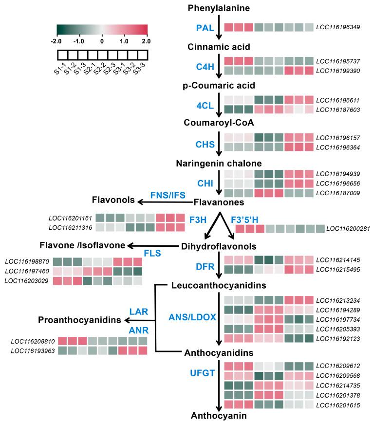 https://cdn.ncbi.nlm.nih.gov/pmc/blobs/b7c1/11511302/d0c0c8ca2d12/plants-13-02903-g003.jpg