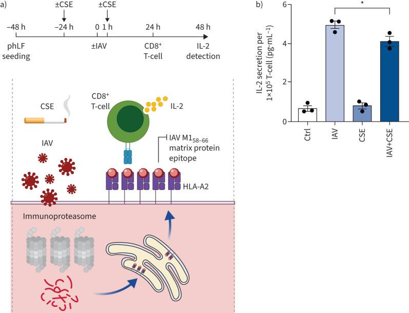 https://cdn.ncbi.nlm.nih.gov/pmc/blobs/b7c2/10397470/a6ff06006c40/ERJ-01374-2022.04.jpg