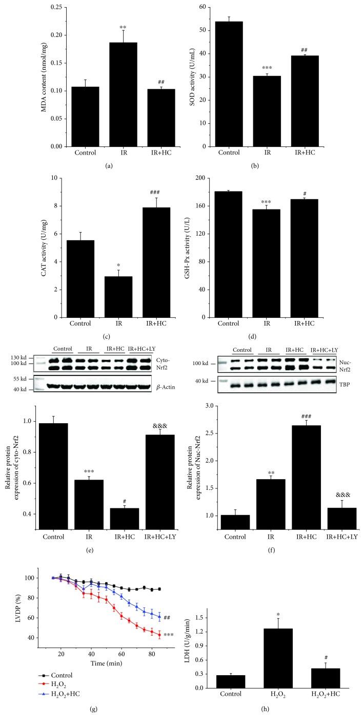 https://cdn.ncbi.nlm.nih.gov/pmc/blobs/b7c2/6604422/9c08540a77d6/OMCL2019-7283683.007.jpg