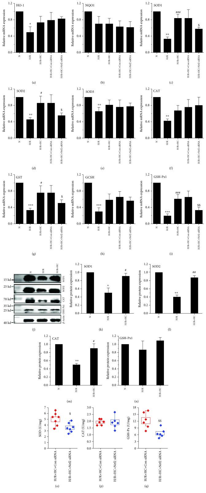 https://cdn.ncbi.nlm.nih.gov/pmc/blobs/b7c2/6604422/e4e771bc1800/OMCL2019-7283683.004.jpg