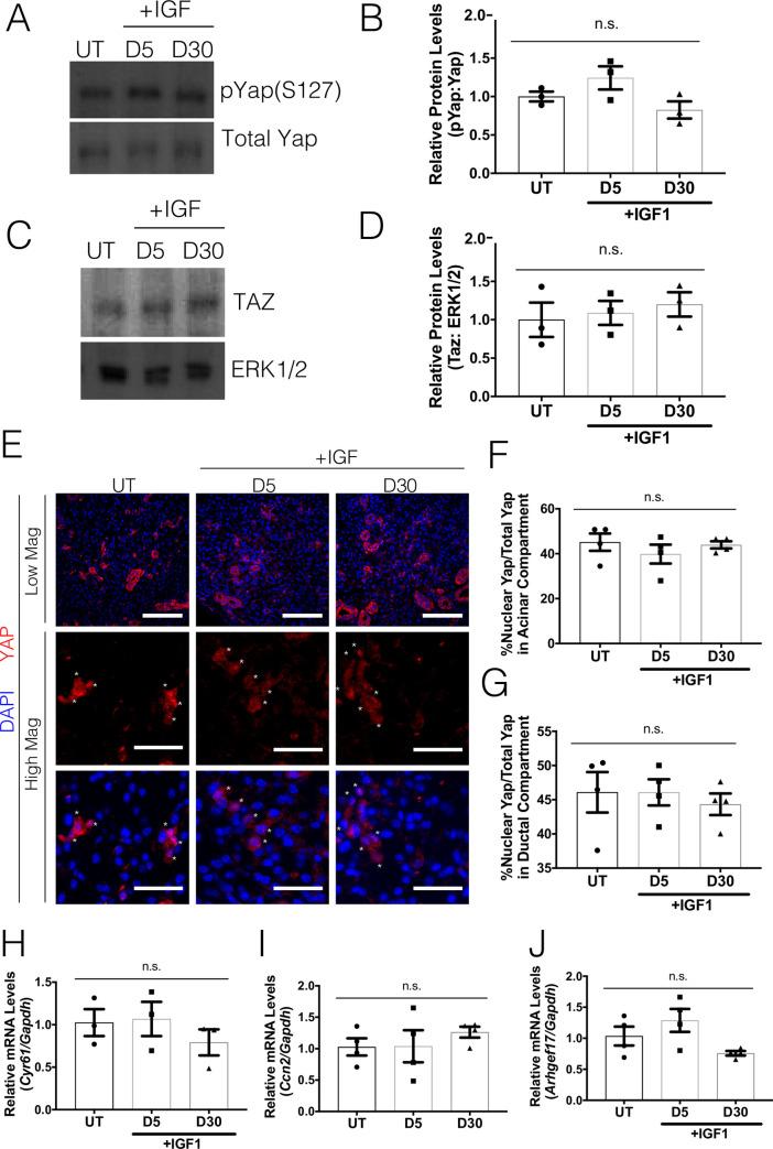 https://cdn.ncbi.nlm.nih.gov/pmc/blobs/b7c4/7644026/70905e92b80e/pone.0232921.g002.jpg