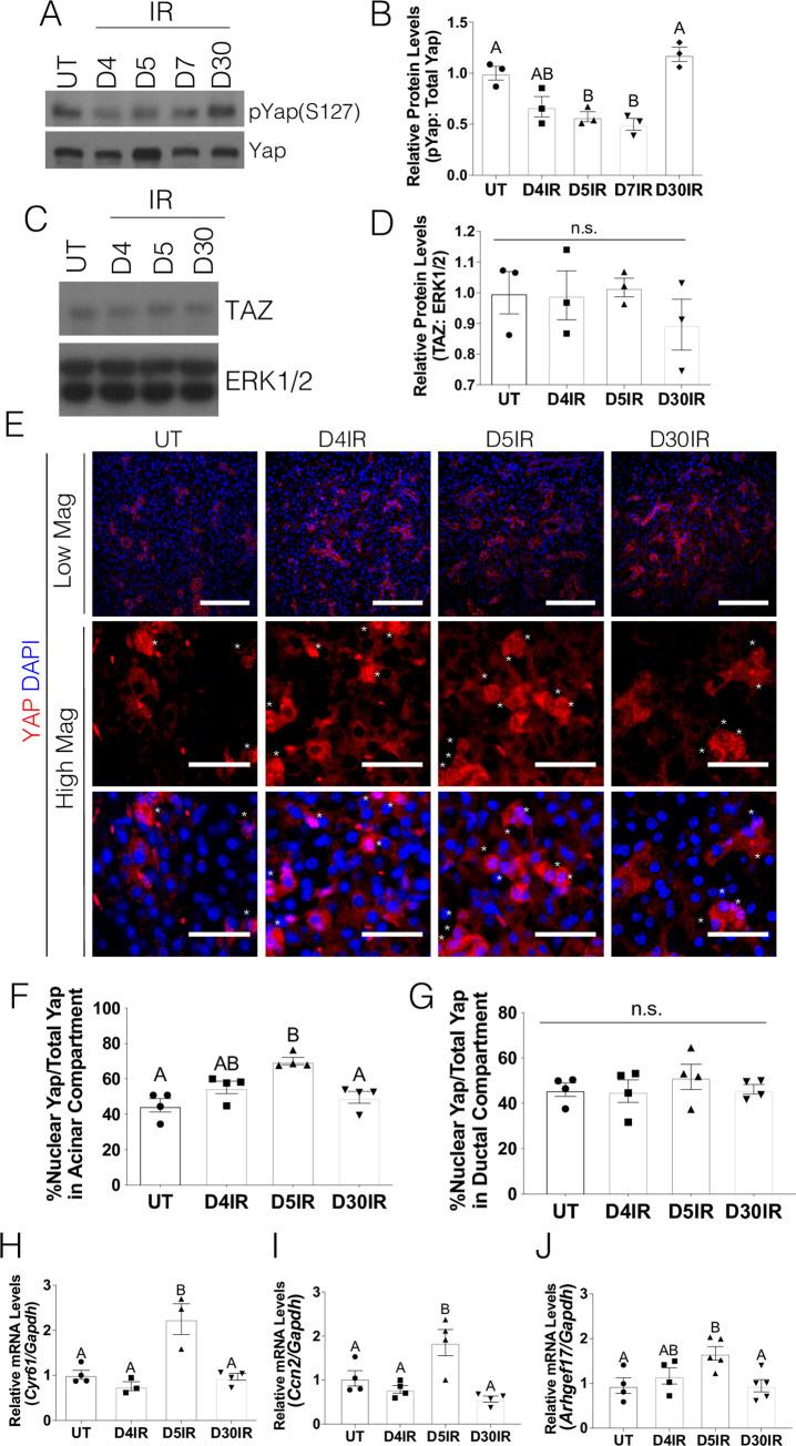https://cdn.ncbi.nlm.nih.gov/pmc/blobs/b7c4/7644026/960ac6f4652b/pone.0232921.g001.jpg