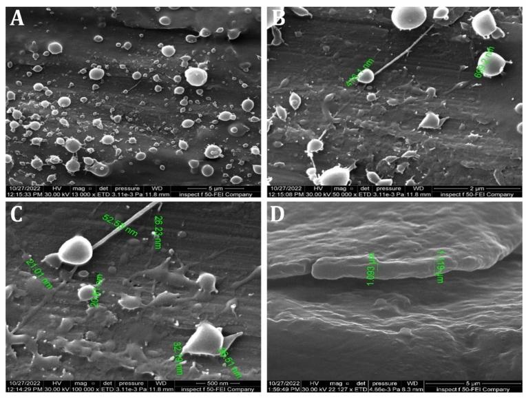 https://cdn.ncbi.nlm.nih.gov/pmc/blobs/b7c6/11266696/3df6559462c0/41598_2024_68020_Fig10_HTML.jpg