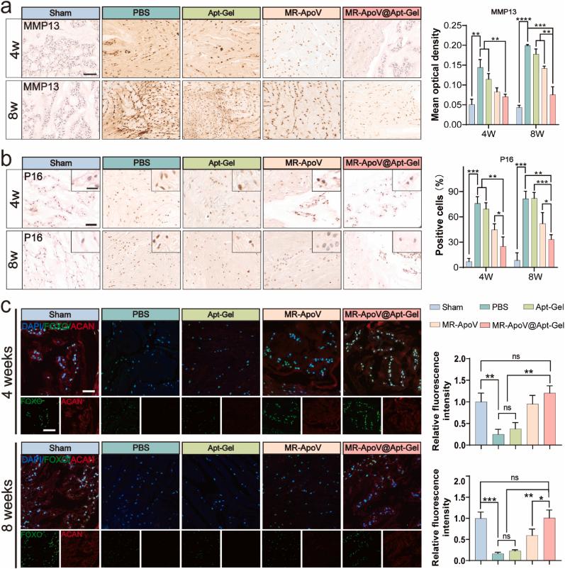 https://cdn.ncbi.nlm.nih.gov/pmc/blobs/b7c8/12391270/21e870ea0519/gr8.jpg