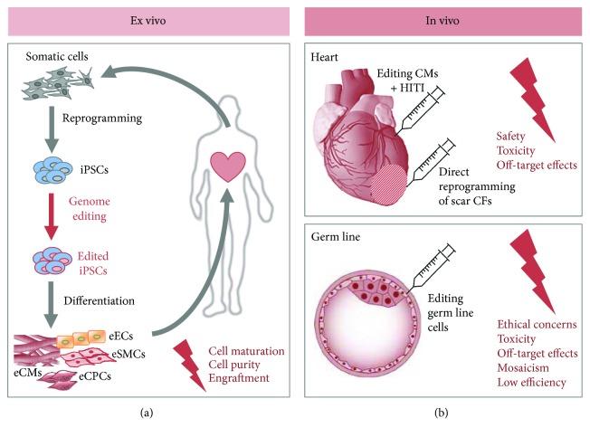 https://cdn.ncbi.nlm.nih.gov/pmc/blobs/b7c8/5872631/8af15c634df8/SCI2018-4136473.002.jpg