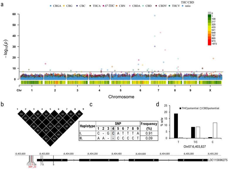 https://cdn.ncbi.nlm.nih.gov/pmc/blobs/b7ca/12104491/7ecd27d99ce3/TPG2-18-e70031-g002.jpg