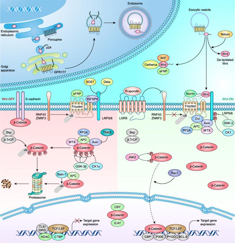 https://cdn.ncbi.nlm.nih.gov/pmc/blobs/b7cb/7686704/d58a3f3a149c/12943_2020_1276_Fig1_HTML.jpg