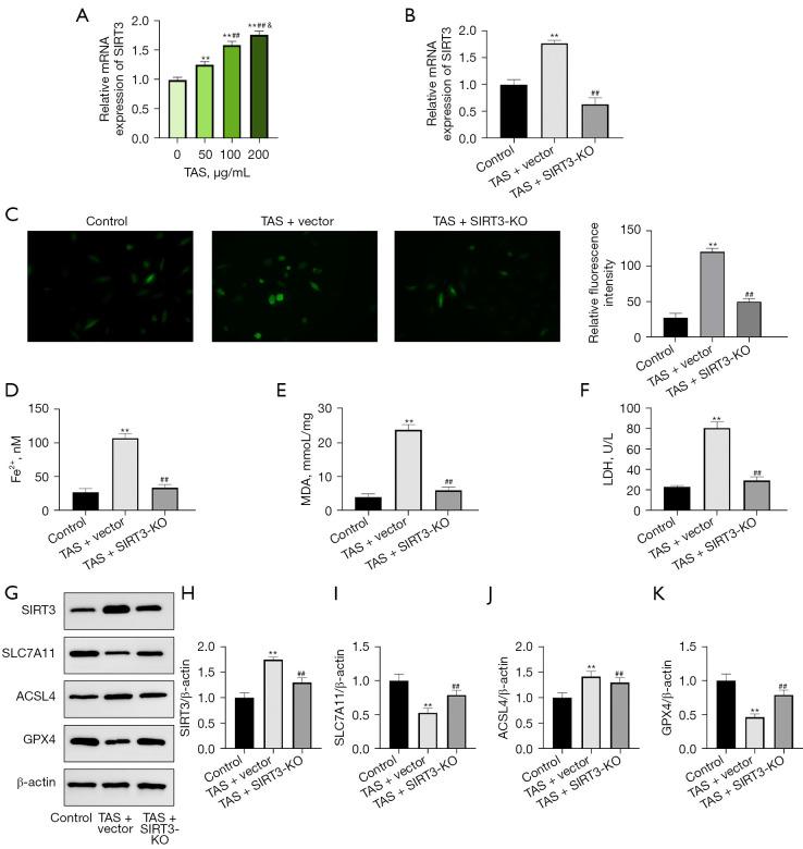 https://cdn.ncbi.nlm.nih.gov/pmc/blobs/b7cc/11912042/1cea7b986631/tcr-14-02-1311-f3.jpg