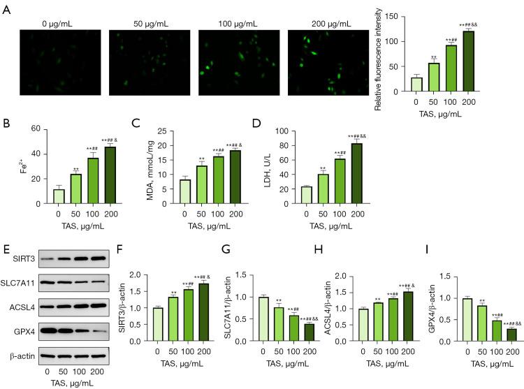 https://cdn.ncbi.nlm.nih.gov/pmc/blobs/b7cc/11912042/800dd5bb8157/tcr-14-02-1311-f2.jpg