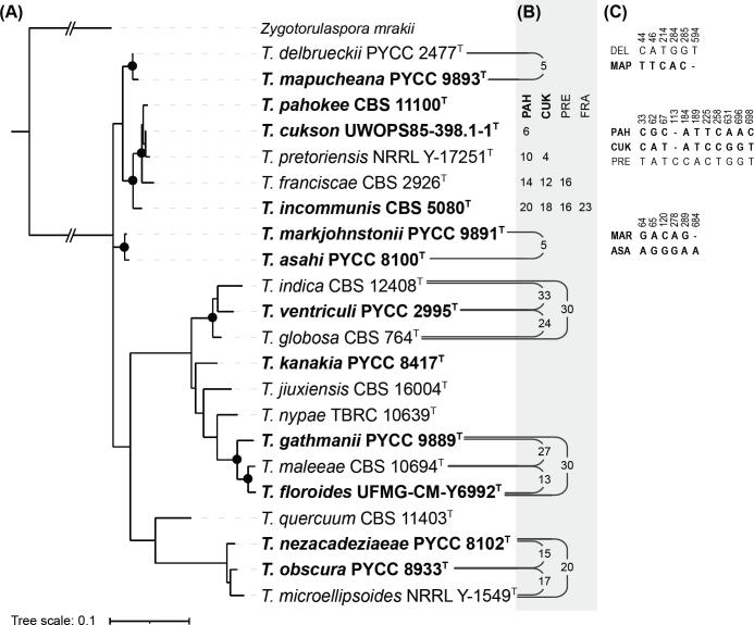 https://cdn.ncbi.nlm.nih.gov/pmc/blobs/b7cd/12308288/5d013ff8e565/per-2025-54-8-F3.jpg