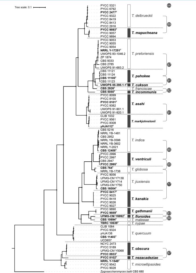 https://cdn.ncbi.nlm.nih.gov/pmc/blobs/b7cd/12308288/c02bf0515815/per-2025-54-8-F1.jpg