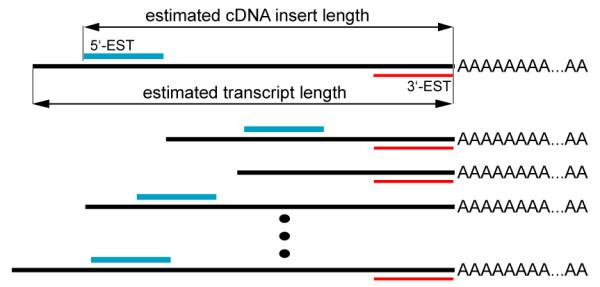 https://cdn.ncbi.nlm.nih.gov/pmc/blobs/b7ce/1431573/5709f632acd7/1471-2105-7-77-5.jpg