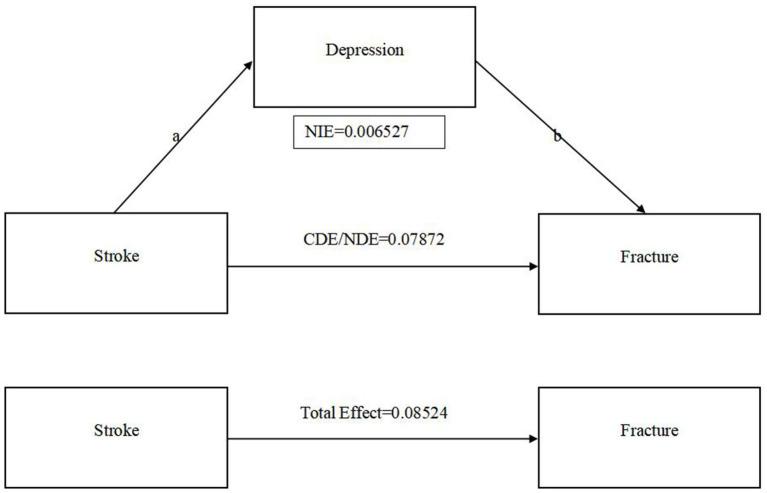 https://cdn.ncbi.nlm.nih.gov/pmc/blobs/b7d2/11835685/1da80df88252/fneur-16-1533565-g002.jpg