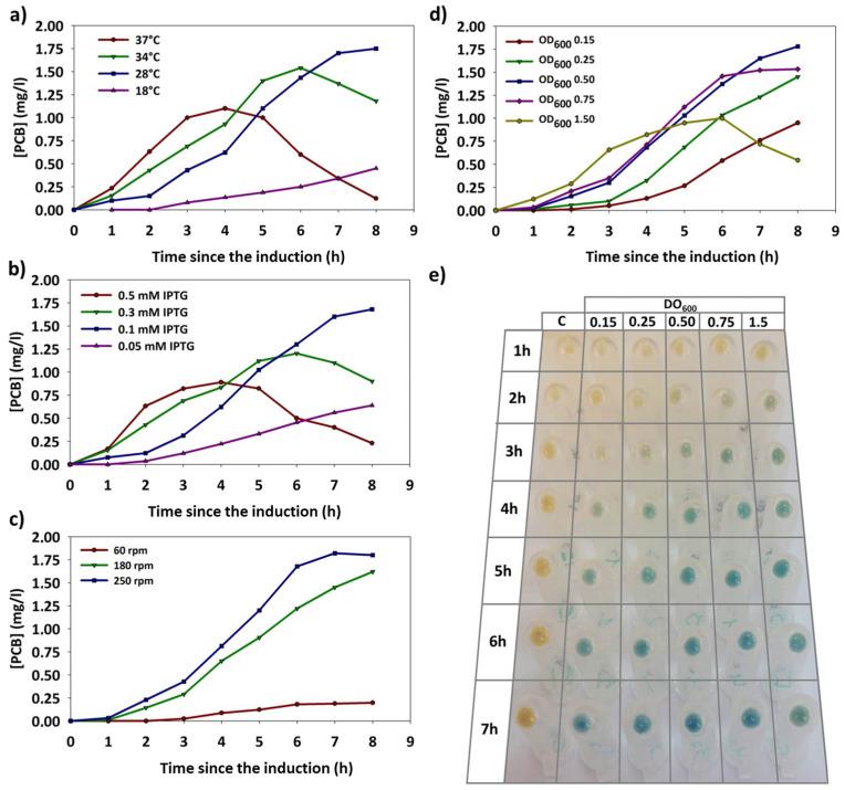 https://cdn.ncbi.nlm.nih.gov/pmc/blobs/b7d3/11353606/1fe821116dc6/genes-15-01058-g005.jpg