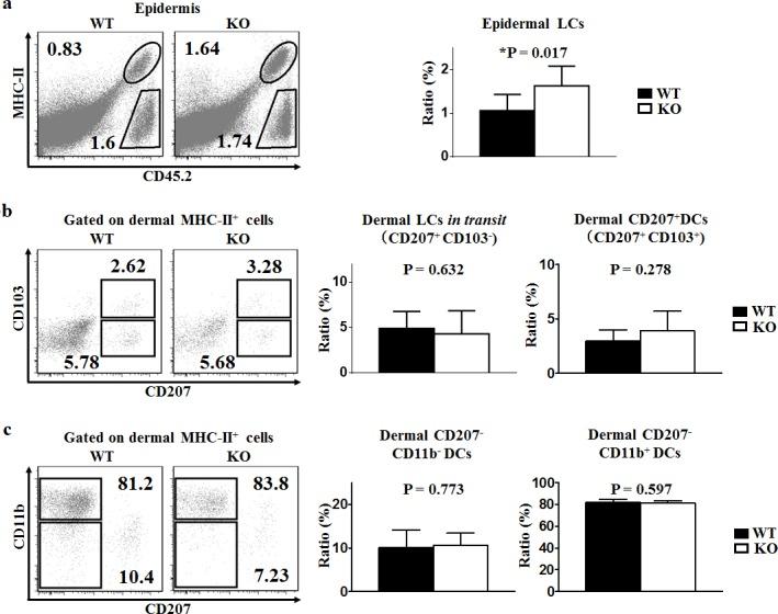 https://cdn.ncbi.nlm.nih.gov/pmc/blobs/b7d6/5122327/0f30de5ca9b0/oncotarget-07-37498-g003.jpg