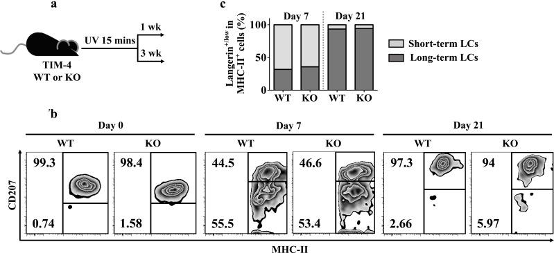 https://cdn.ncbi.nlm.nih.gov/pmc/blobs/b7d6/5122327/15761bd148ff/oncotarget-07-37498-g007.jpg