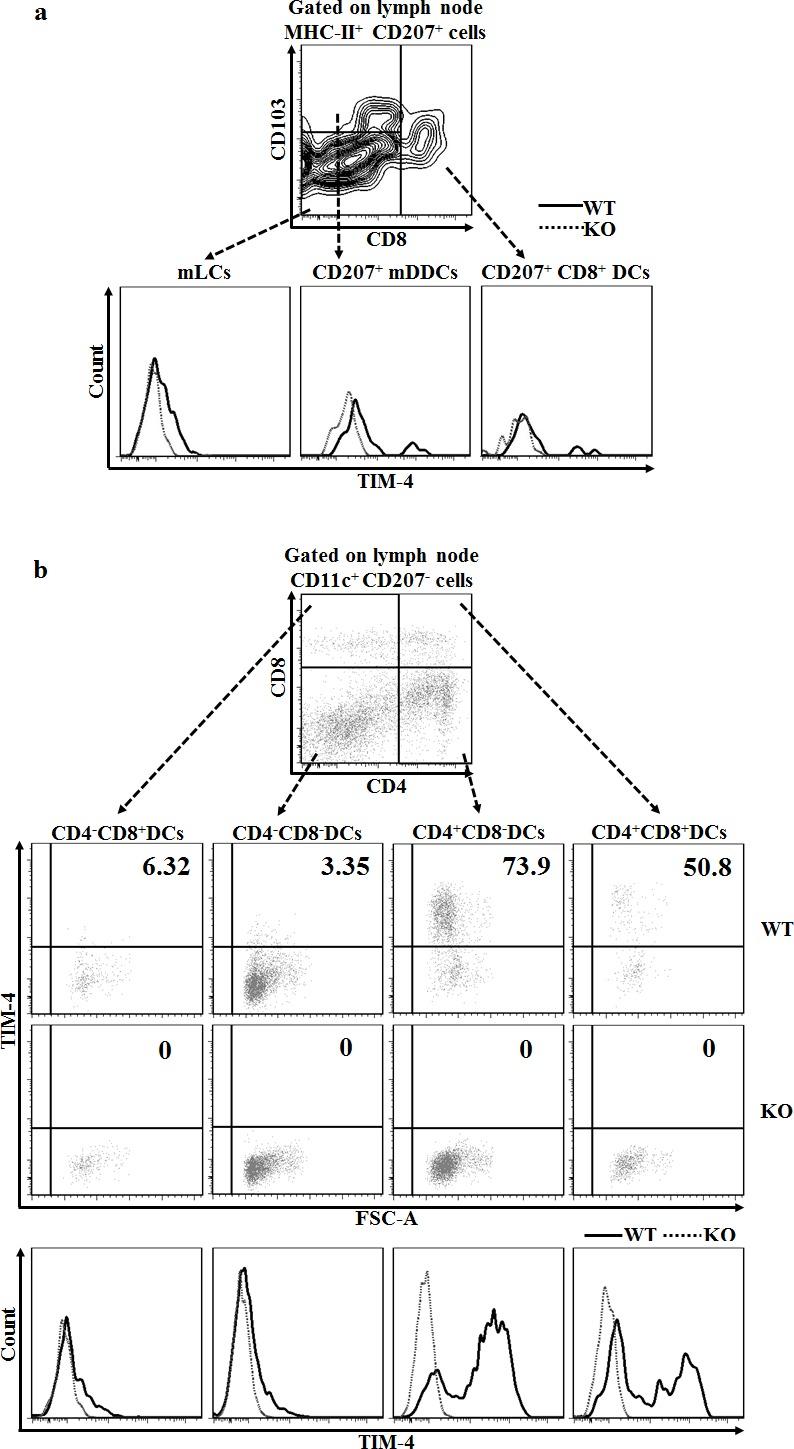 https://cdn.ncbi.nlm.nih.gov/pmc/blobs/b7d6/5122327/d6c39754be09/oncotarget-07-37498-g002.jpg
