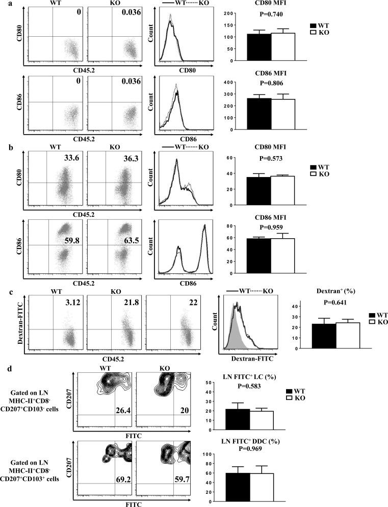 https://cdn.ncbi.nlm.nih.gov/pmc/blobs/b7d6/5122327/ec9ba6bb65e2/oncotarget-07-37498-g005.jpg