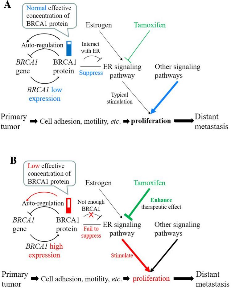 https://cdn.ncbi.nlm.nih.gov/pmc/blobs/b7d8/8741892/57fe05d053a8/41598_2021_3471_Fig6_HTML.jpg