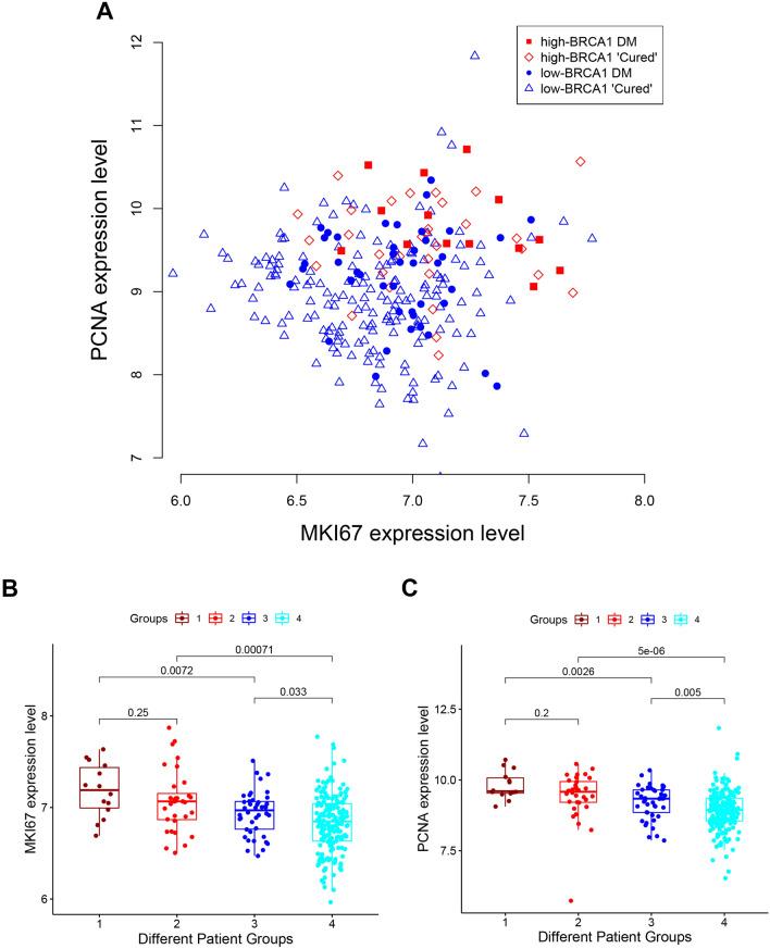 https://cdn.ncbi.nlm.nih.gov/pmc/blobs/b7d8/8741892/be41f0310b76/41598_2021_3471_Fig5_HTML.jpg