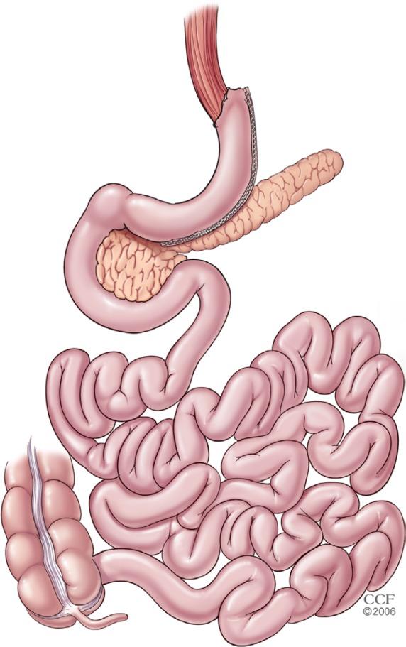 https://cdn.ncbi.nlm.nih.gov/pmc/blobs/b7dc/4993556/416fce957247/mder-9-291Fig2.jpg