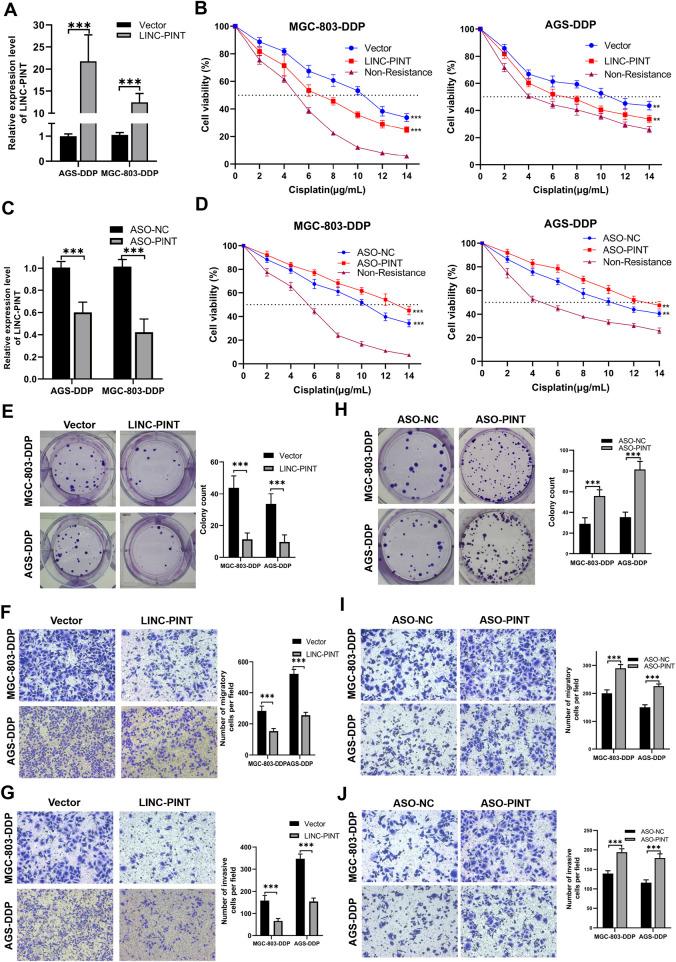 https://cdn.ncbi.nlm.nih.gov/pmc/blobs/b7dc/9452659/002489e1eac9/fphar-13-968223-g002.jpg