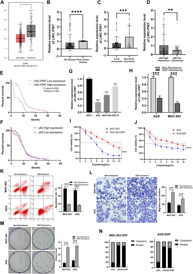 https://cdn.ncbi.nlm.nih.gov/pmc/blobs/b7dc/9452659/a7b25854356f/fphar-13-968223-g001.jpg