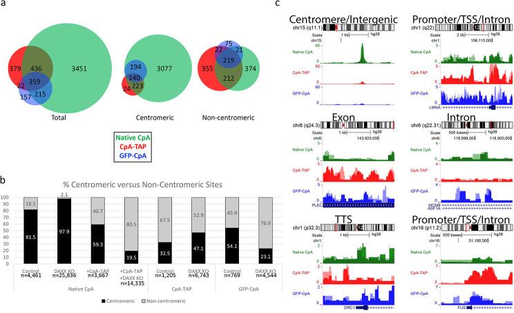 https://cdn.ncbi.nlm.nih.gov/pmc/blobs/b7de/11145777/0fab19b2c644/13072_2024_543_Fig6_HTML.jpg
