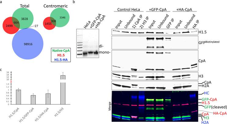 https://cdn.ncbi.nlm.nih.gov/pmc/blobs/b7de/11145777/1b5206256101/13072_2024_543_Fig7_HTML.jpg