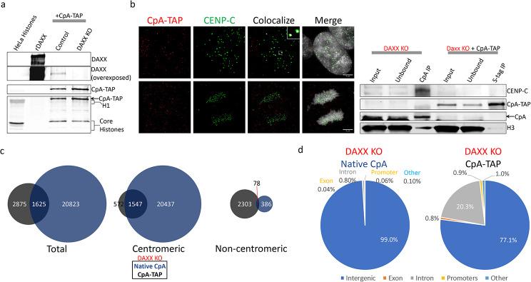https://cdn.ncbi.nlm.nih.gov/pmc/blobs/b7de/11145777/b3b85b7c9924/13072_2024_543_Fig3_HTML.jpg