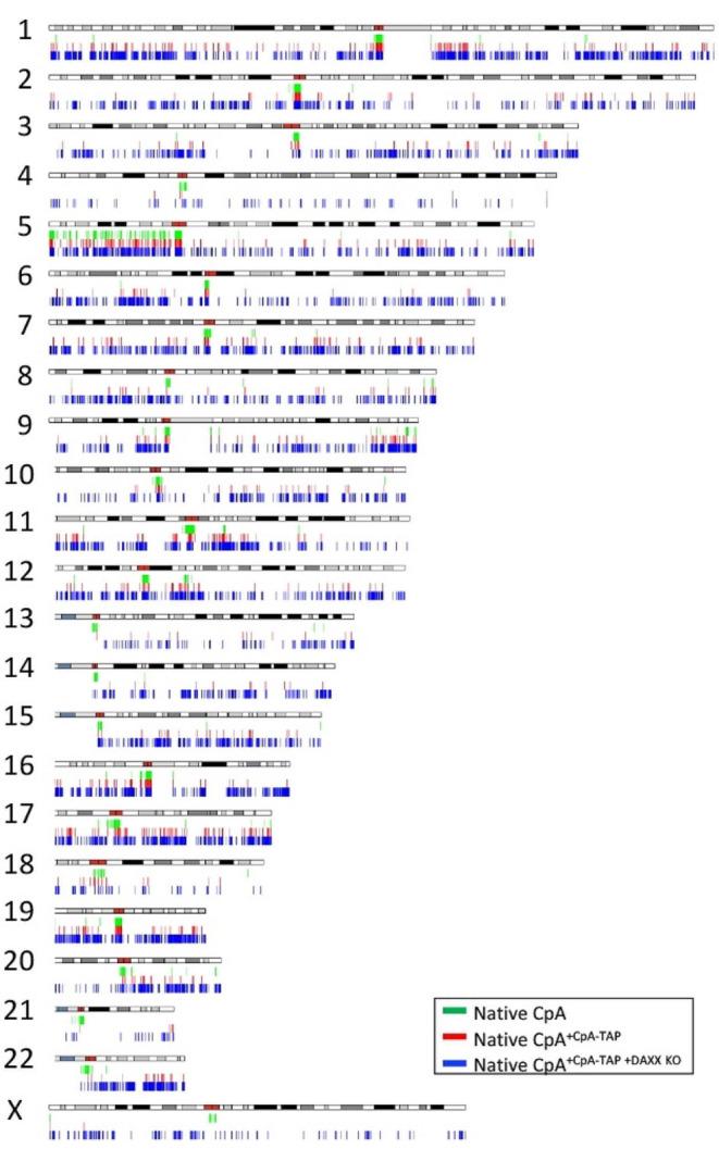 https://cdn.ncbi.nlm.nih.gov/pmc/blobs/b7de/11145777/c866bdff8f4b/13072_2024_543_Fig5_HTML.jpg