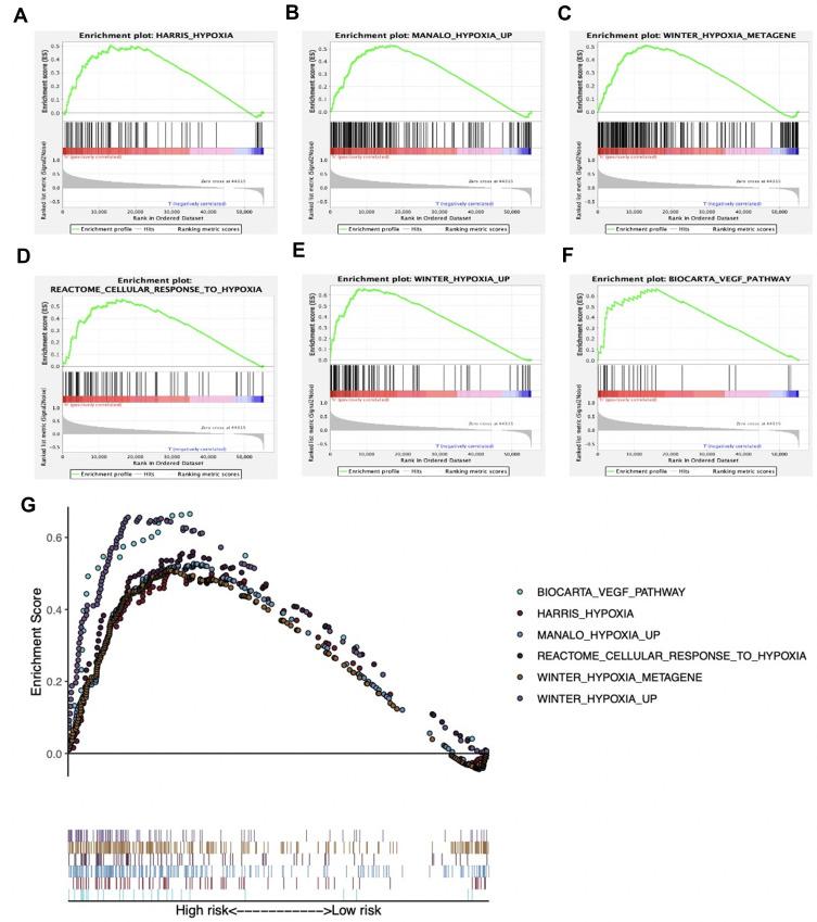 https://cdn.ncbi.nlm.nih.gov/pmc/blobs/b7de/7667586/f41e57abab22/JHC-7-315-g0005.jpg