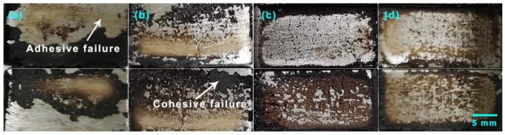 https://cdn.ncbi.nlm.nih.gov/pmc/blobs/b7de/9865374/5d2b2cbca66a/polymers-15-00412-g013.jpg