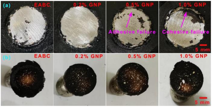 https://cdn.ncbi.nlm.nih.gov/pmc/blobs/b7de/9865374/62ff82c94ad8/polymers-15-00412-g018.jpg