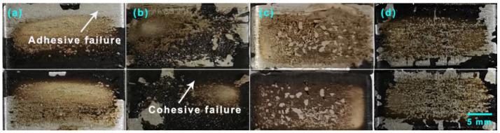 https://cdn.ncbi.nlm.nih.gov/pmc/blobs/b7de/9865374/a877ffd3d615/polymers-15-00412-g014.jpg