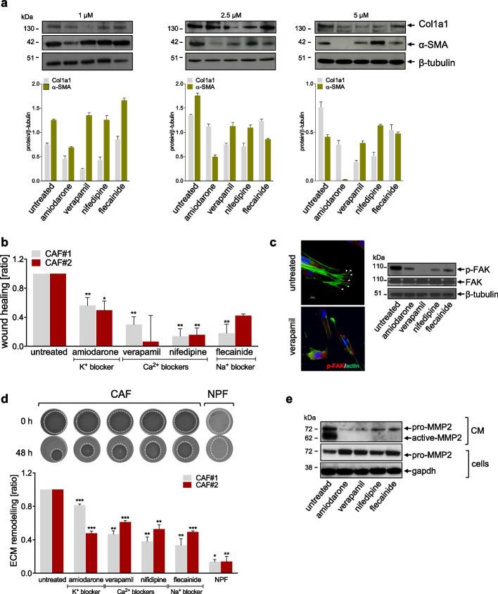 https://cdn.ncbi.nlm.nih.gov/pmc/blobs/b7e1/11165820/70ea2cb400c5/13046_2024_3081_Fig3_HTML.jpg