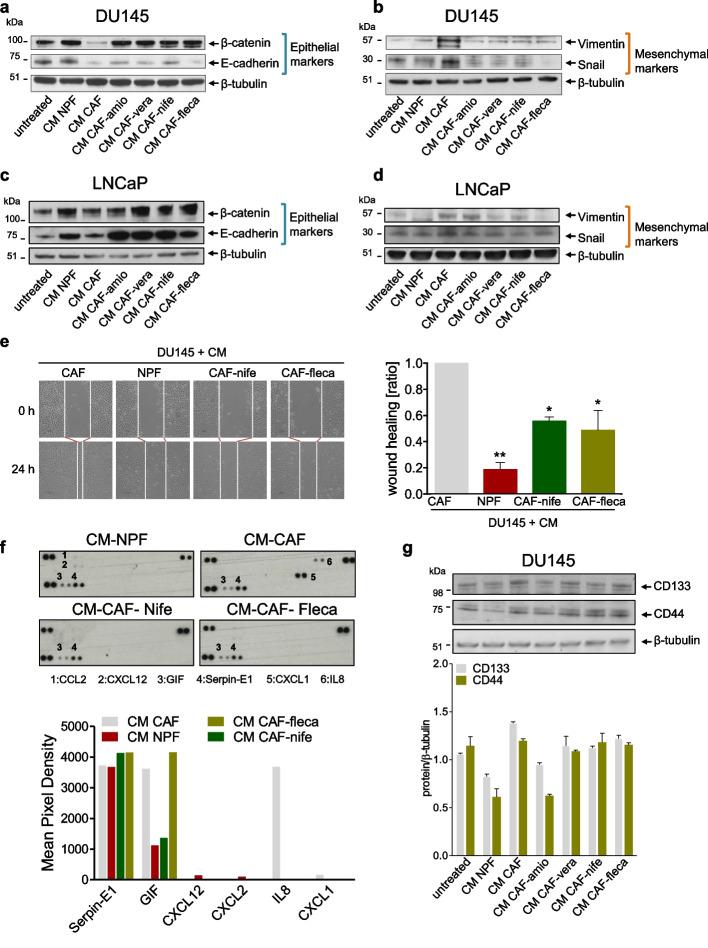 https://cdn.ncbi.nlm.nih.gov/pmc/blobs/b7e1/11165820/8b1cd42aaf7d/13046_2024_3081_Fig5_HTML.jpg