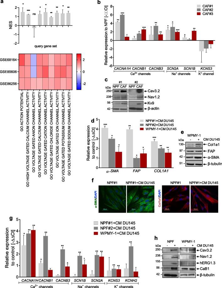 https://cdn.ncbi.nlm.nih.gov/pmc/blobs/b7e1/11165820/bf62fd8ff13d/13046_2024_3081_Fig1_HTML.jpg