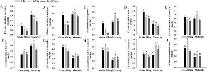 https://cdn.ncbi.nlm.nih.gov/pmc/blobs/b7e2/11457330/21390d9265e3/12870_2024_5652_Fig3_HTML.jpg