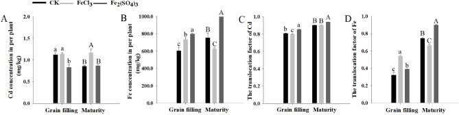 https://cdn.ncbi.nlm.nih.gov/pmc/blobs/b7e2/11457330/529915baaffe/12870_2024_5652_Fig1_HTML.jpg