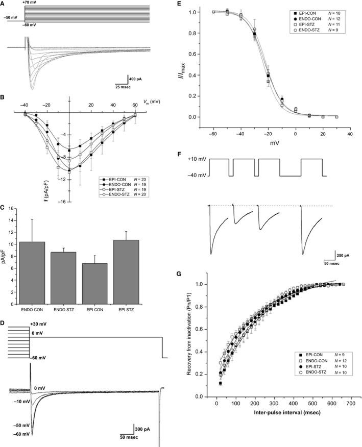 https://cdn.ncbi.nlm.nih.gov/pmc/blobs/b7e6/5357996/5acad375d899/PHY2-4-13034-g004.jpg