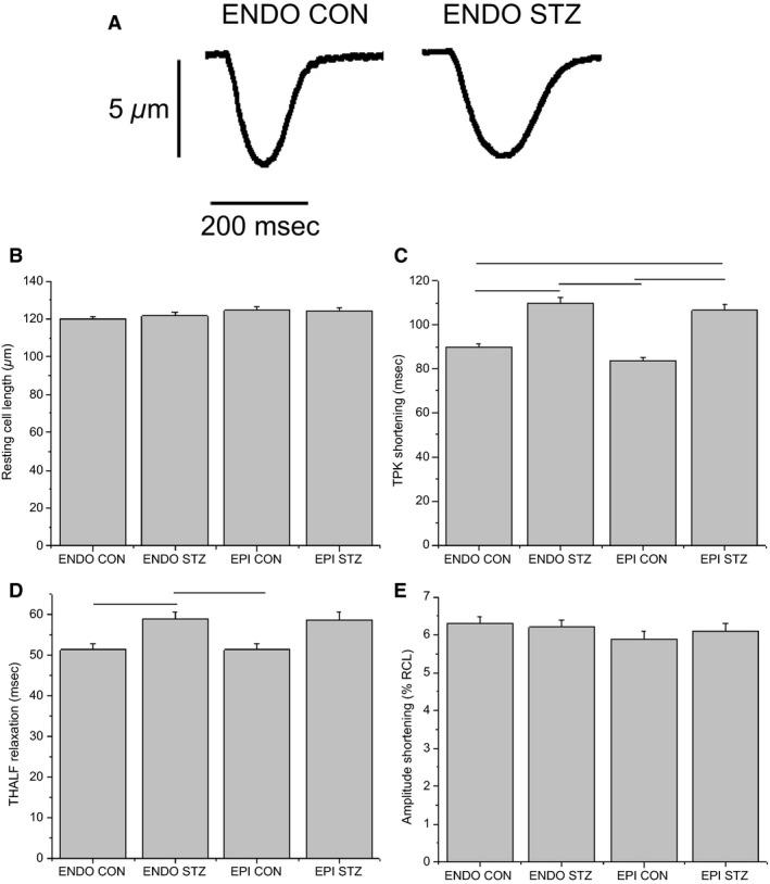 https://cdn.ncbi.nlm.nih.gov/pmc/blobs/b7e6/5357996/765dd7b7f3ef/PHY2-4-13034-g001.jpg